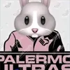 sarofalsaperla00