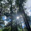 theryguy_17