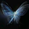 yara.ahmed0890