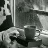 user82128560880594