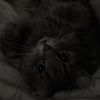 maddox0511