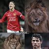 mohamedfaye4786