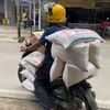 ramahardyansyah02