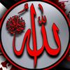 islamic_8800