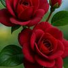 priya.priya9619