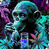 monkeyman3905