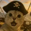 kidcat124