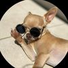 lovedog4686