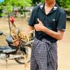 မူရင်း ကိုပုဂံ⚡️09782743185 📱