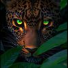 wild_live01