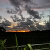 skybl00d_