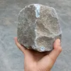 pomunodaityan8.18