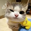 hannamay587