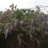 nosequiensoy_471