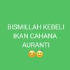 bismillahkebeliauranti