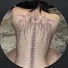kenkahayameyou__