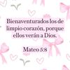 vasquez8677