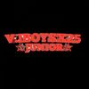 setory.v.i.boysx2