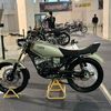 adamsury4