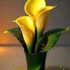zubaedah241_gs