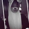 cantikkkkk211
