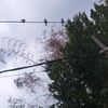 aisssungker