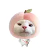 _cobethem.gmm_