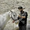mawlan.sorani8