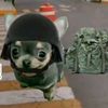 chencho2272
