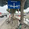 m_tuanhung11