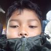 rino.cogan