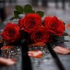 user1514172401142