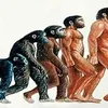 humanonumero12