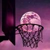 aranbasketball