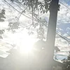 pn.b.trn_0511