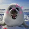 polciaczeq