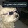 vava20235