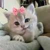 rawanalrawi89