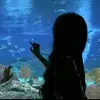 akiapa_20