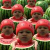 fron801