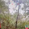 destructorxw