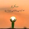 muneeb45191