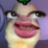 yyyyzzzye
