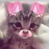 francis_lpz58