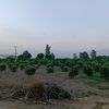 abrar.sajjad0