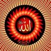 saleh4657