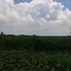 vn.tai20