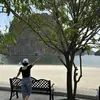 mebongreviewduthu