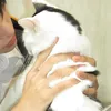 user.depgainhut