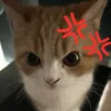 po_k913
